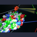 Flexible small molecule docking, here a sugar molecule