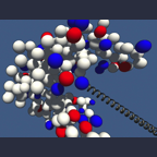 The hydrogen atom of BioSpring examples, guanylate kinase