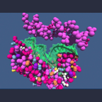 Interactive field-guided Protein-DNA docking